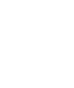 Logo Stadiums For Ants