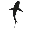 Logo van SXM Divers