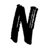 Logo Nativas