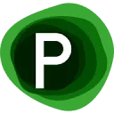 Logo van Paula Visser Werkt!