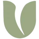 Logo BULBi