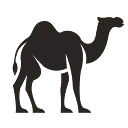 Logo 18 Camels