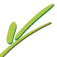Logo van CareX Overijssel