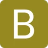 Logo Braunsdorf Music