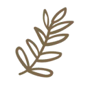 Logo van Borrèl & Groen Youth Matters