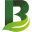 Logo Borgerink Groendesign