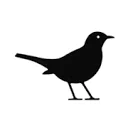 Logo van Checkbird