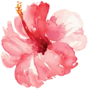 Logo Temploola