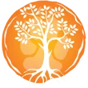 Logo Analysilience