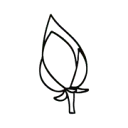 Logo van Stichting In de Knop