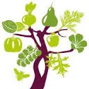 Logo van Voedselbos Benthuizen