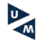Logo van Maastricht University School of Business and Economics