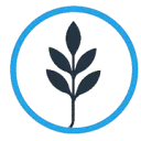 Logo van Career and Culture NL Stichting