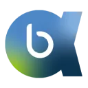 Logo van blupoint