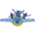 Logo van IKC Albert Plesman