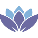 Logo DNS Solutions