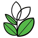 Logo Heyl