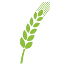 Logo van Moneo Advies