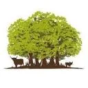 Logo van Boeren in het Bos - Grasgevoerd natuurvlees van ècht gezonde dieren