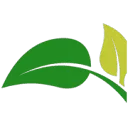 Logo Graviola Shop