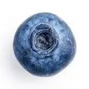 Logo van Boomkwekerij Sil Moonen B.V.
