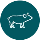 Logo The Feed Company