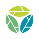 Logo Blueberry Innovators